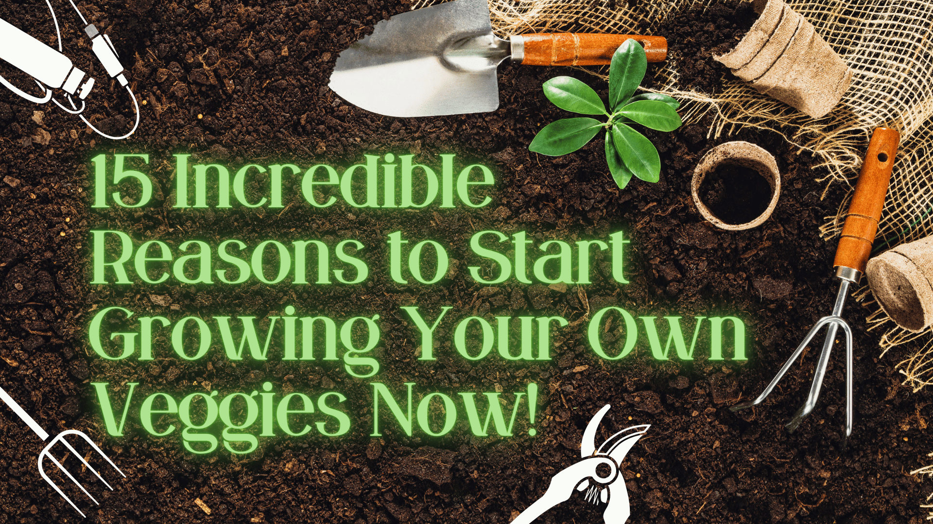 15 Incredible Reasons to Start Growing Your Own Veggies Now!